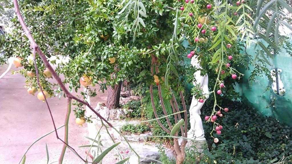 Alojamiento Rural La Caseria De Piedra Restaurante Jaén Zewnętrze zdjęcie